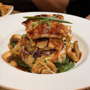 Teriyakis Deliciosos - Teriyaki de Pollo