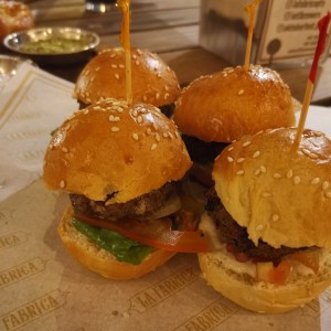 Sliders de la casa