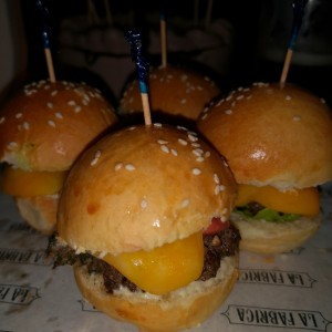 mini sliders