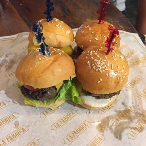 Sliders de la casa