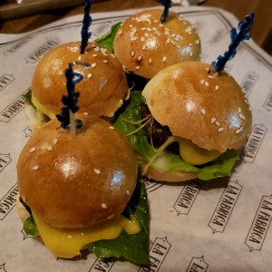 Sliders de la casa