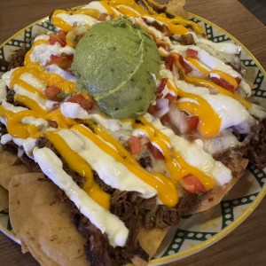 Nachos Especiales