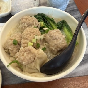Sopa De Wanton De Puerco Con Fideos