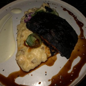 salmon
