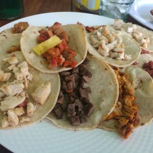 Tacos variados