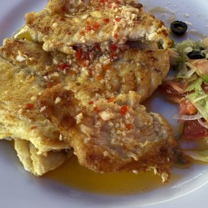 Filete de corvina al ajillo 