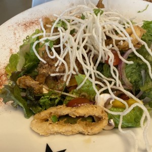 Frescas Ensaladas - Teriyaki Salad