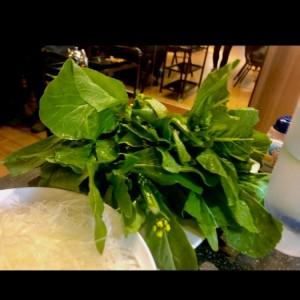 VEGETALES - HOJA DE MOSTAZA