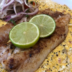 pescado y quinoa