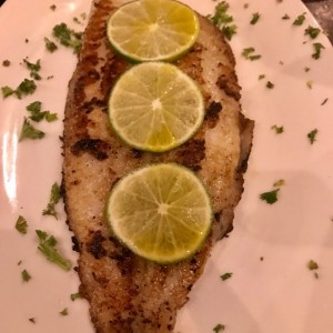 corvina a la plancha