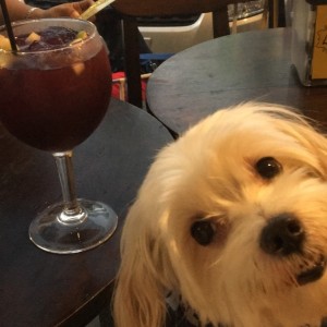 Sangria ?