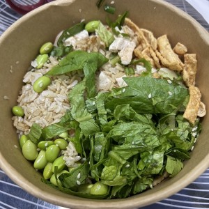 Bowls Integrales - TERIYAKI CHICKEN BOWL