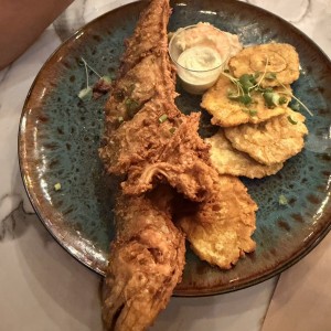 Corvina