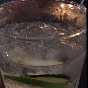 gin tonics