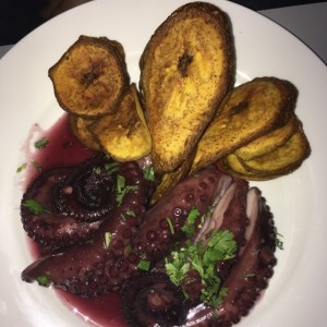 Pulpo