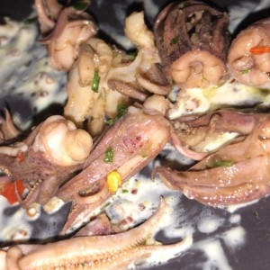 entrada de calamares