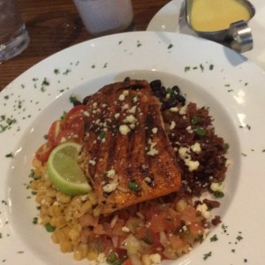 salmon