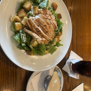 Ensalada Cesar con Pollo 