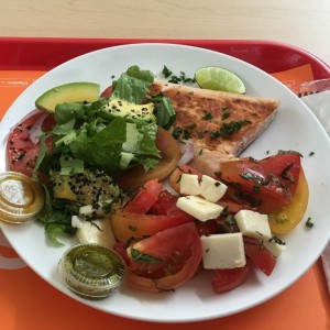 salmon