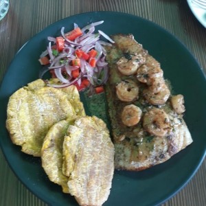 Plato del dia, Corvina a la  plancha con salsa de camarones y Patacones