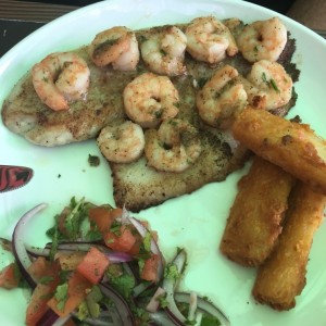 corvina con amarines al ajillo