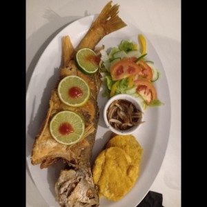 Corvina Entera
