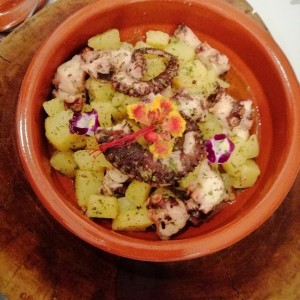 ANTIPASTI - Insalata di Polpo
