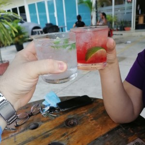 vodka con cranberries y vodka tonic.