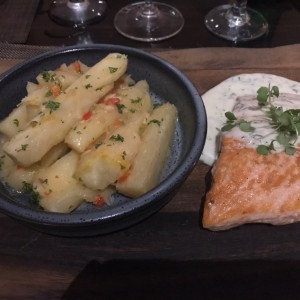 salmon