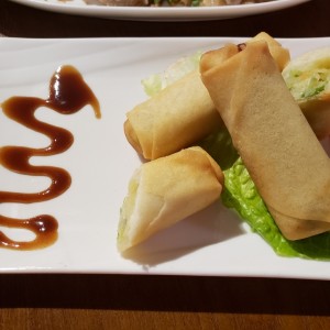 rollos de primavera