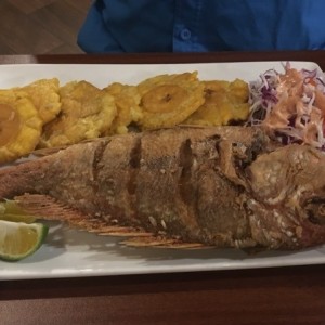 pargo frito