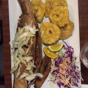 corvina a lachorrillera