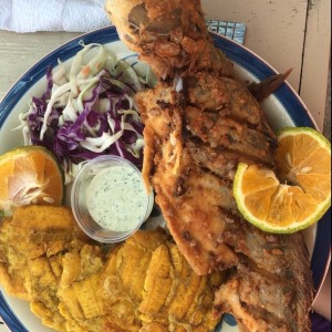 Plato Fuerte - Corvina Entera