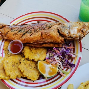 Platos Fuertes - CORVINA ENTERA