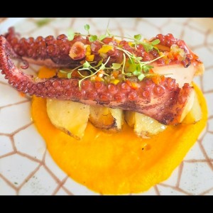 pulpo, pure de zanahoria papa rustic