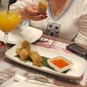 spring rolls de vegetales