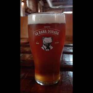 Ipa