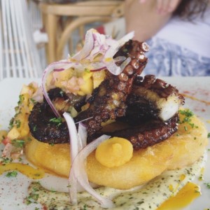 pulpo