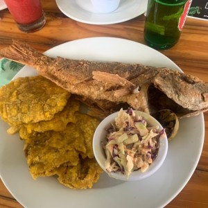 Platos Fuertes - Parguito Panorama