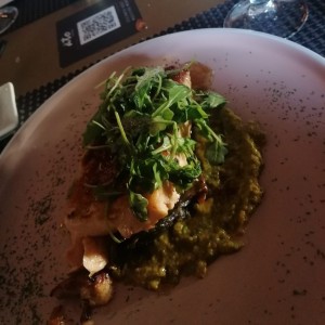 Salmon