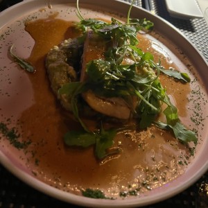Salmon