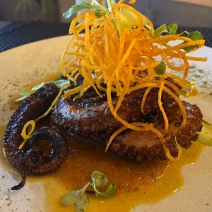 Pulpo