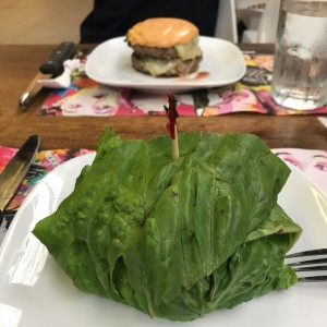 opcion healthy encuelta en lechuga