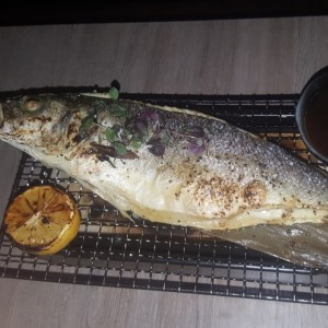 Branzino
