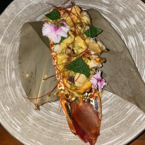 Grilled Lobster