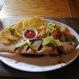 Corvina frita entera