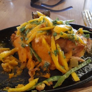 salmon