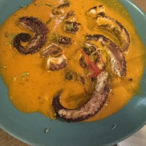 Principales - Curry de Pulo