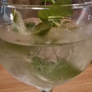 Gin Tonic