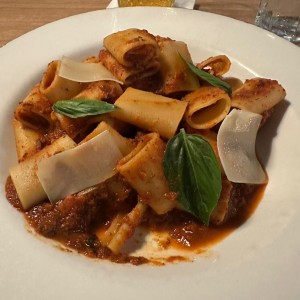 Pastas - Rigatoni Alla Norma